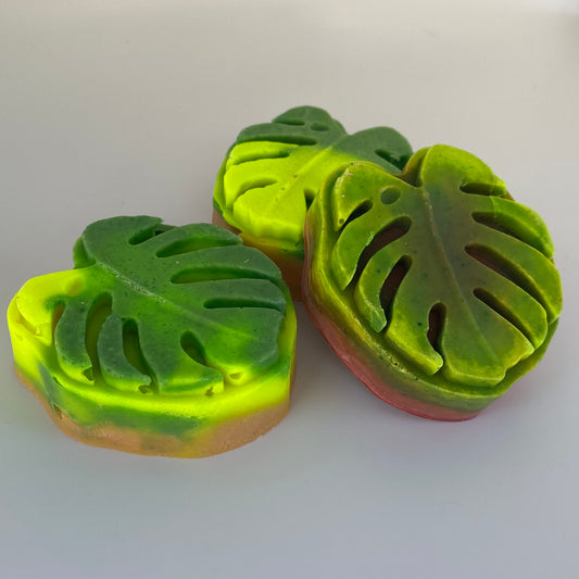 Monstera Leaf Shave Bar