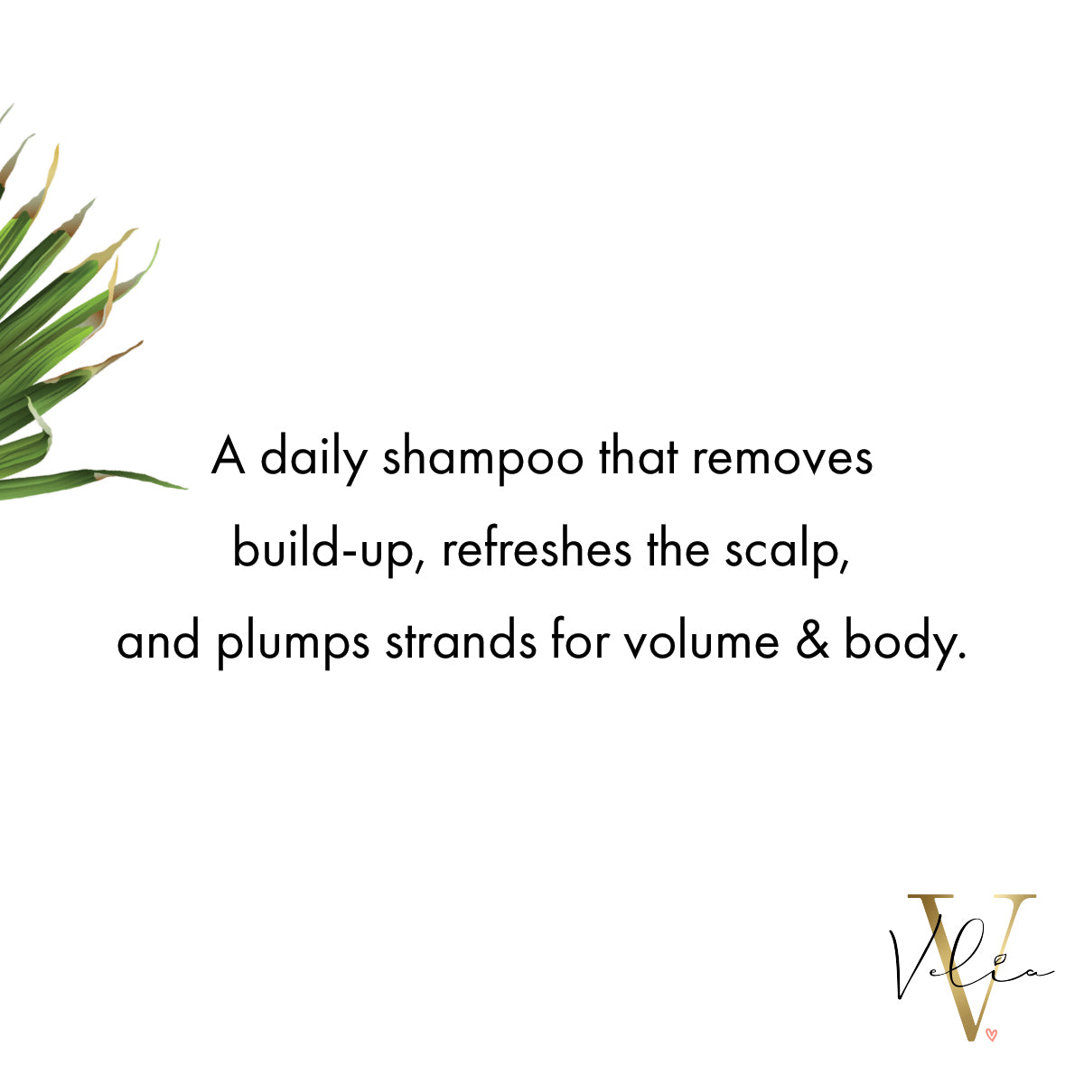 Body Positive Shampoo 8.5 oz