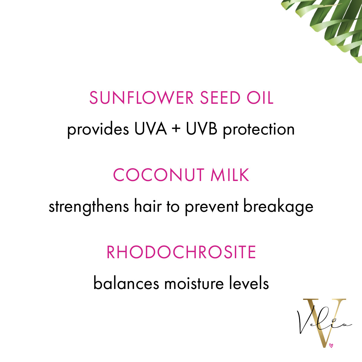 Moisture Obsessed Conditioner