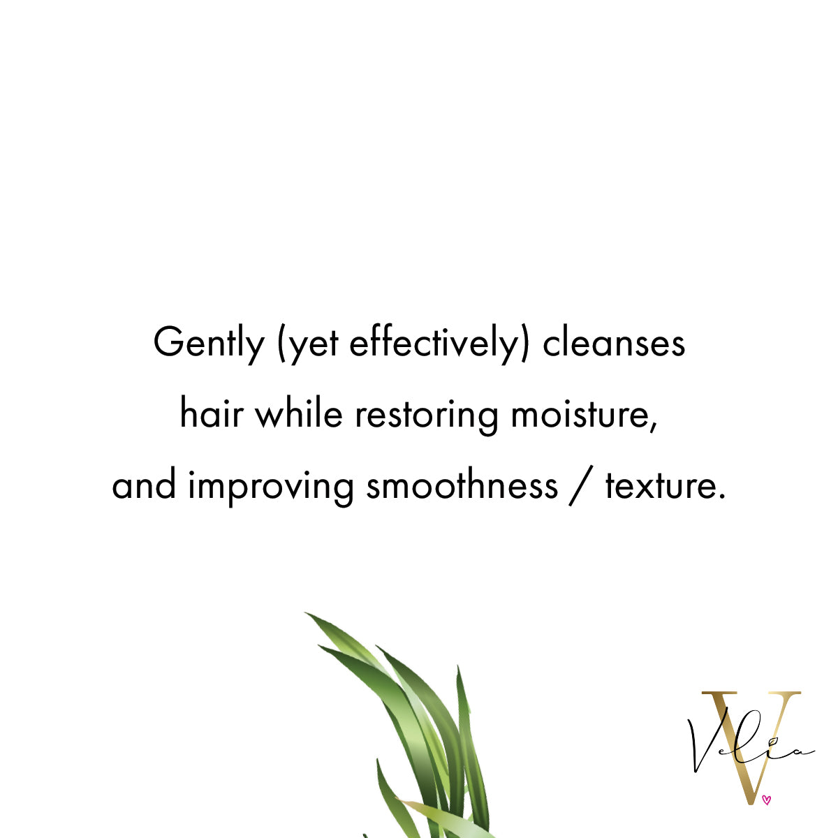Moisture Obsessed Shampoo