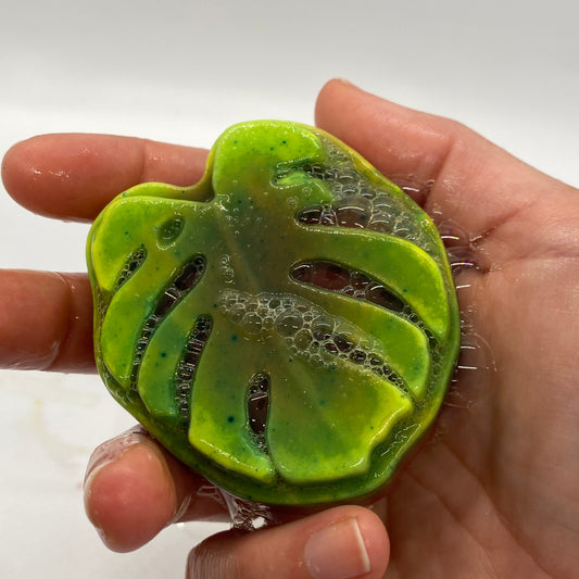 Monstera Leaf Shave Bar