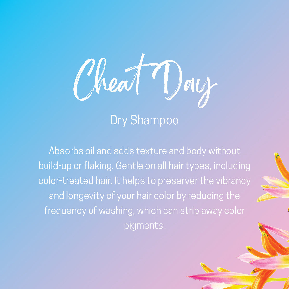 Cheat Day Dry Shampoo - veliabeautyco